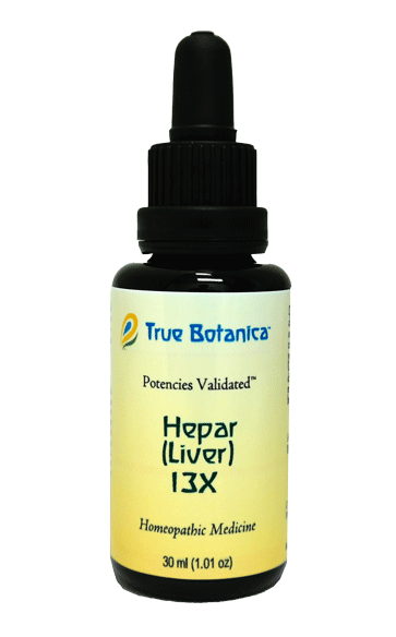 Hepar (Liver) 13X