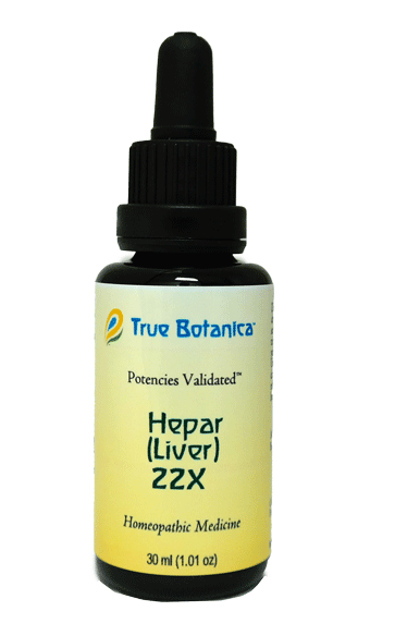 Hepar (Liver) 22X