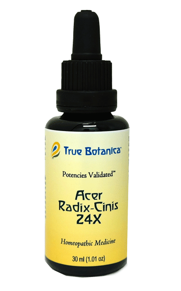 Acer Radix-Cinis 24X