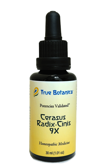 Cerasus Radix-Cinis 9X