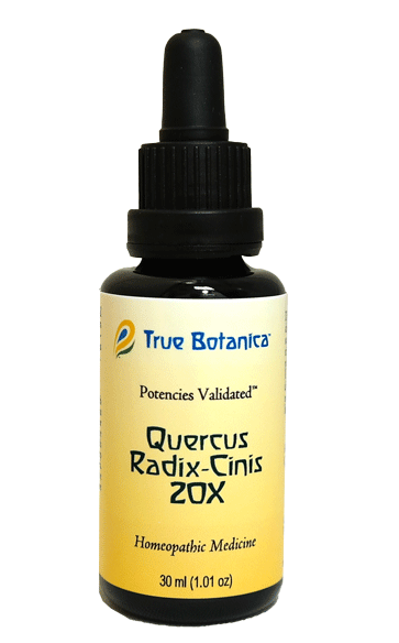 Quercus Radix-Cinis 20X