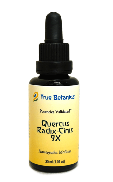 Quercus Radix-Cinis 9X