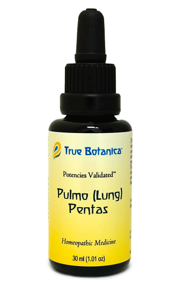 Pulmo (Lung) Pentas OTC by True Botanica