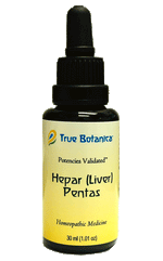 Hepar (Liver) Pentas by True Botnaica