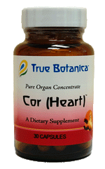 Cor (Heart)