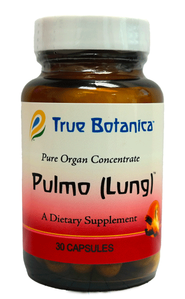 Pulmo (Lung)