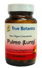Pulmo (Lung)