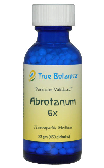 Abrotanium 6X homeopathic medicine by True Botanica