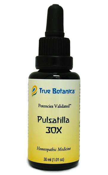 Pulsatilla 30X by True Botanica