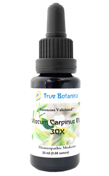 Viscum Carpinus RK 30X by True Botanica