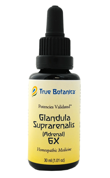 Glandula_Suprerenalix_6x homeopathic medicine by True Botanica