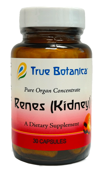 Renes (Kidney) by True Botanica