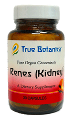 Renes (Kidney) by True Botanica