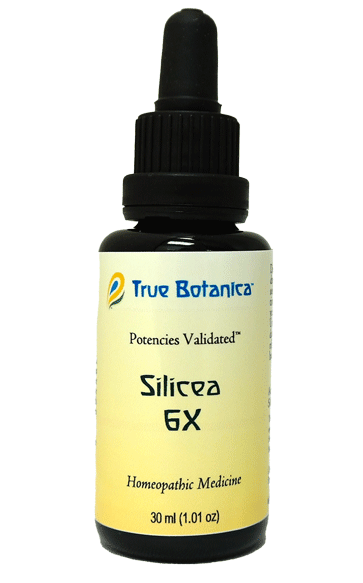 Silicea 6X by True Botanica