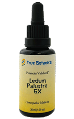 Ledum Palustre 6X homeopathic medicine by True Botanica