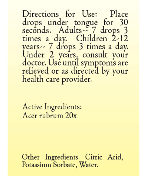 Acer Radix-Cinis 20X by True Botanica