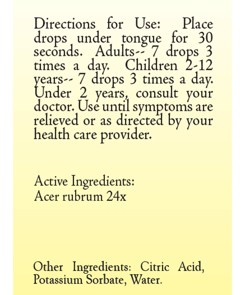 Acer Radix-Cinis 24X by True Botanica