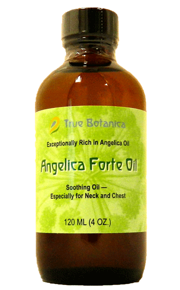 Angelica Forte Oil by True Botanica