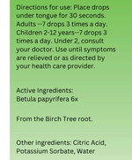 Betula Radix 6X homeopathic medicine by True Botanica
