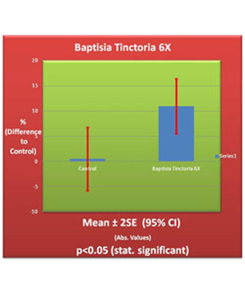 Baptisia Tinctoria 6X homeopathic medicine by True Botancia
