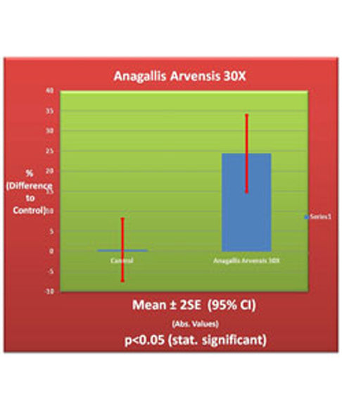 Anagallis Arvensis 30X
