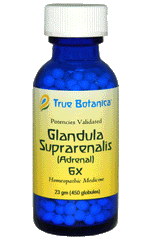 Glandula Suprarenalis (Adrenal) 6X