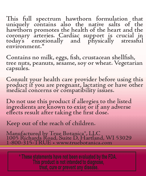 Hawthorn Plus by True Botanica