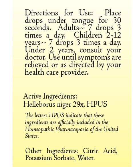 Helleborus Niger 29X by True Botanica
