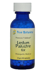 Ledum Palustre 6X