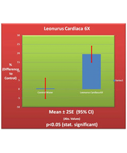 Leonurus Cardiaca 6X