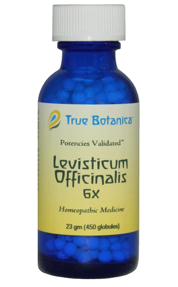 Levisticum Officinalis 6X