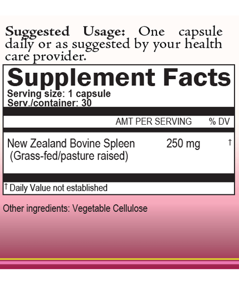 Lien (Spleen)
