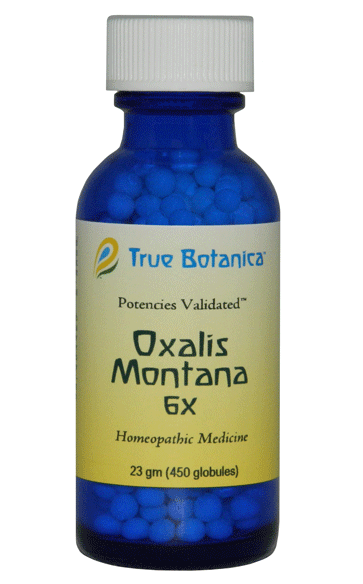 Oxalis Montana 6X