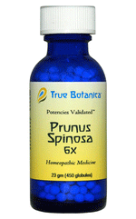 Prunus Spinosa 6X