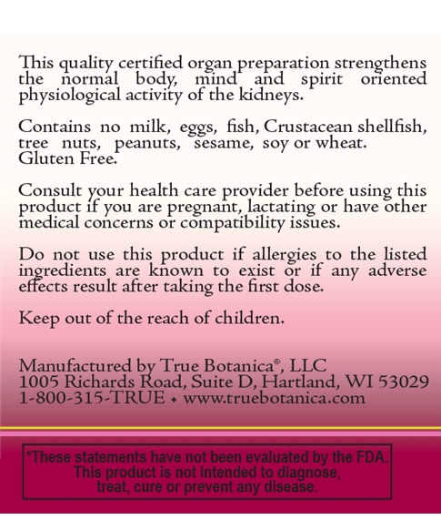 Renes (Kidney) by True Botanica