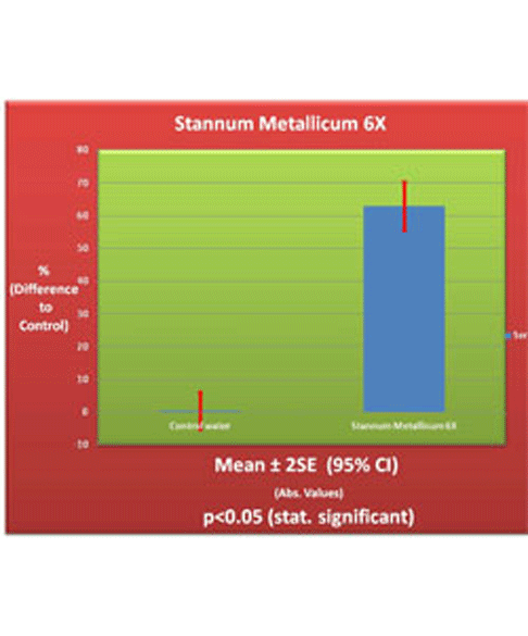 Stannum Metallicum 6X